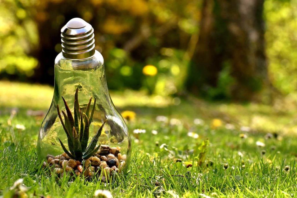 naturaleza