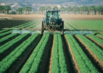 ¿Qué es el seguro agrícola?