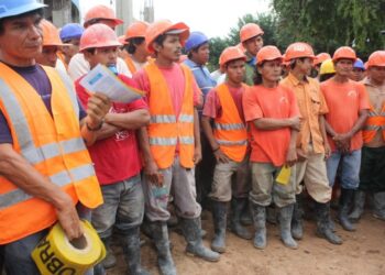 Conoce los tipos de seguros para trabajadores