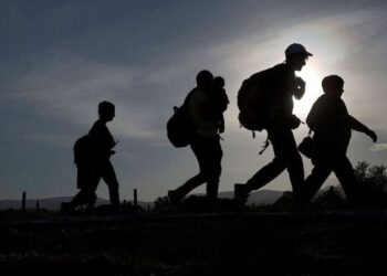 Conoce las ventajas del seguro para migrantes