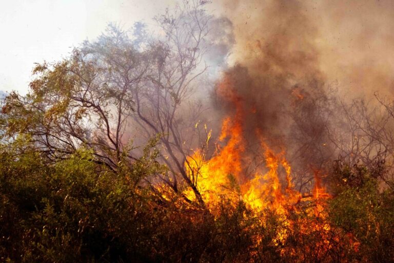Imagen editorial que muestra la protección patrimonial en México ante incendios, destacando seguros de daños en hogares.