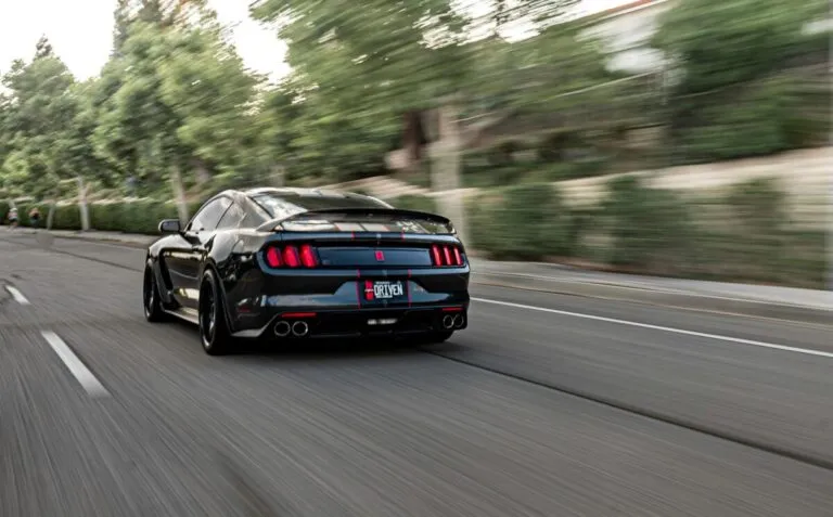 Conductores en Florida recibirán devolución de seguro de auto tras cierre de aseguradora Windhaven