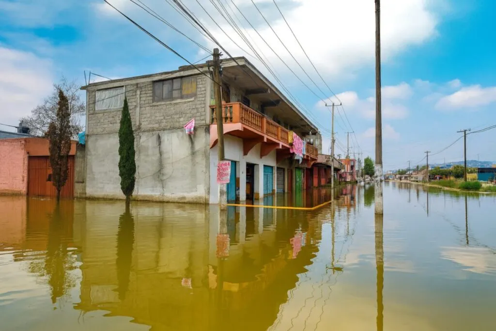 Brigadista inspeccionando coladera obstruida tras inundaciones en vialidad de la Ciudad de México, en contexto de activación de seguros de infraestructura