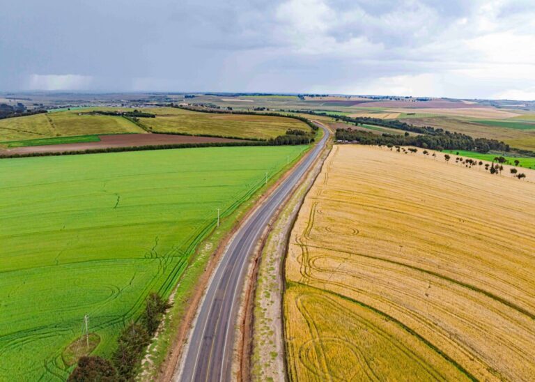 Paisaje agrícola con campos verdes y dorados junto a una carretera, representando riesgos climáticos y la necesidad de climate insurance en regiones rurales.