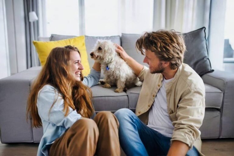 Seguros para perros en México como protección financiera ante costos veterinarios, accidentes y cuidados de salud para mascotas.