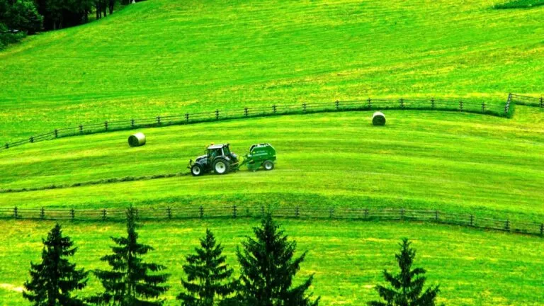 Campo español asegurado bajo el nuevo plan de seguro agrario aprobado por el Gobierno