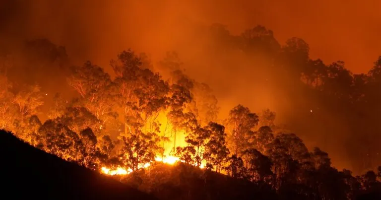 Paisaje australiano con humo y brigadistas combatiendo incendios durante ola de calor en 2026