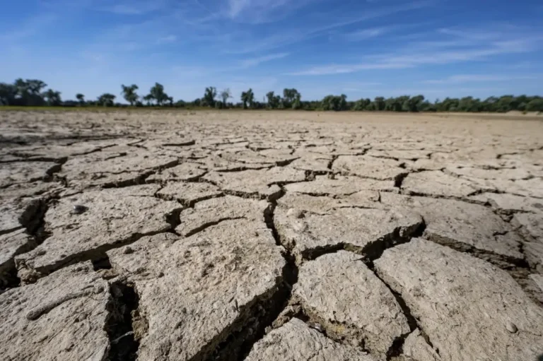 Brecha de seguros climáticos expone a comunidades vulnerables frente a inundaciones e incendios sin cobertura suficiente