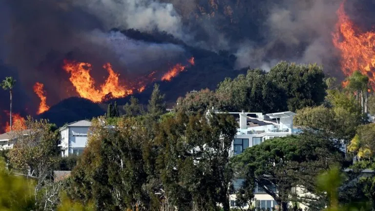 California analiza cambios en seguro contra incendios tras pérdidas históricas por incendios forestales