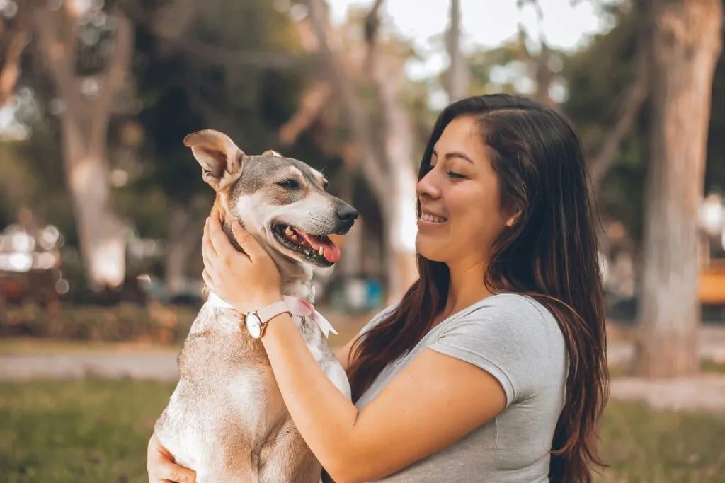 Seguro de mascotas en España con coberturas veterinarias y responsabilidad civil para hogares en 2026