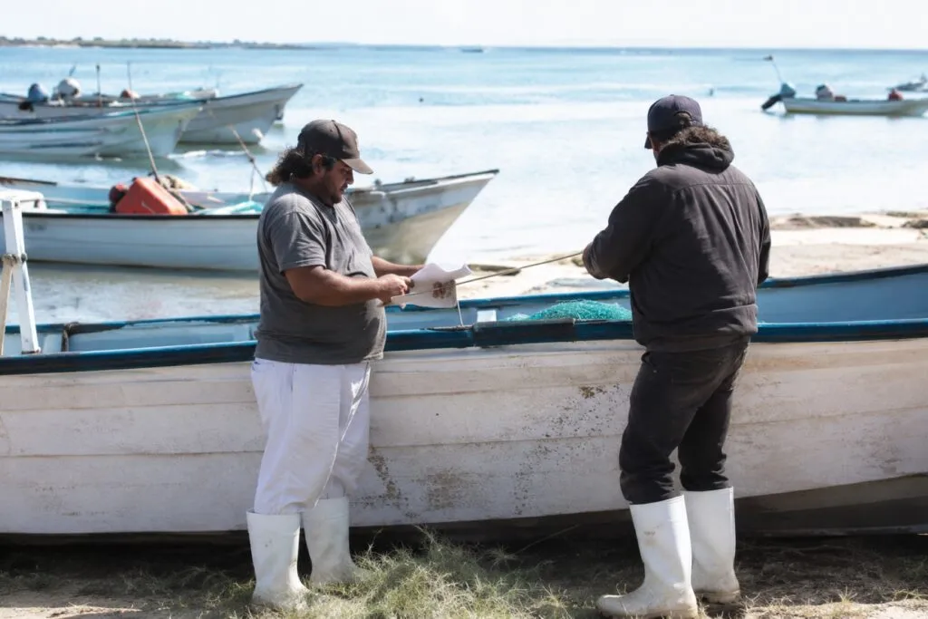 Seguros de vida para pescadores fortalecen la protección económica del sector en Baja California Sur.