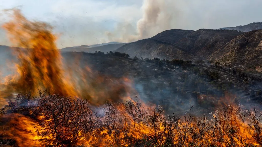 Incendios agravan la brecha aseguradora en Europa ante mayores pérdidas económicas, activos expuestos y costos de protección