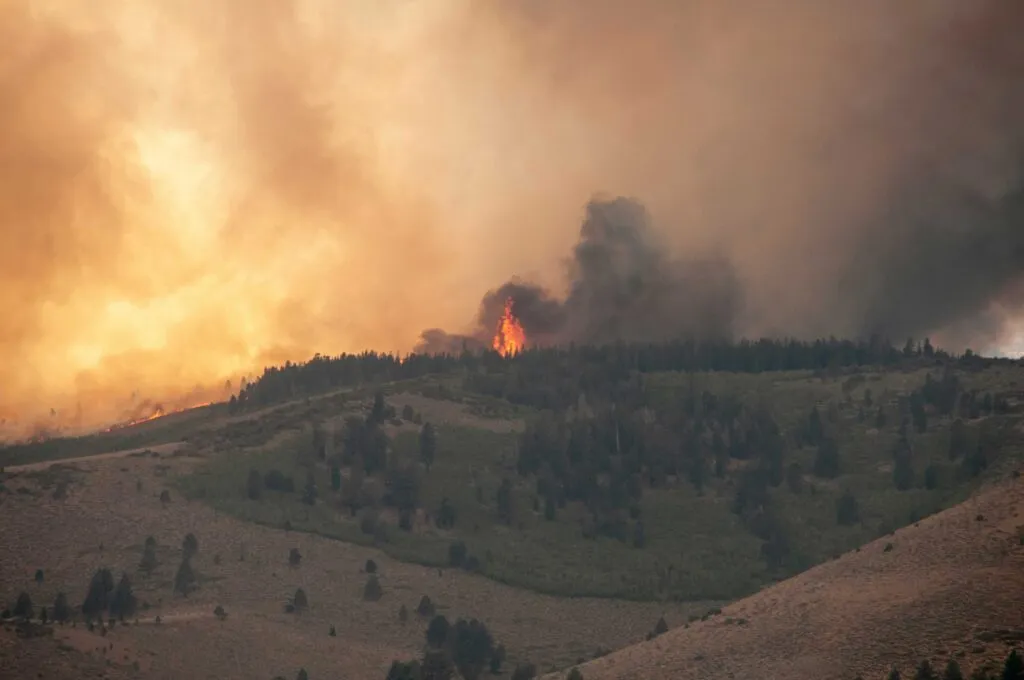 Tecnología satelital aplicada a seguros contra incendios forestales para mejorar la detección temprana y gestión de riesgos.