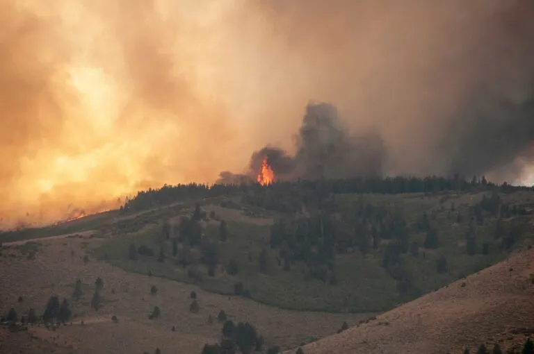 Tecnología satelital aplicada a seguros contra incendios forestales para mejorar la detección temprana y gestión de riesgos.