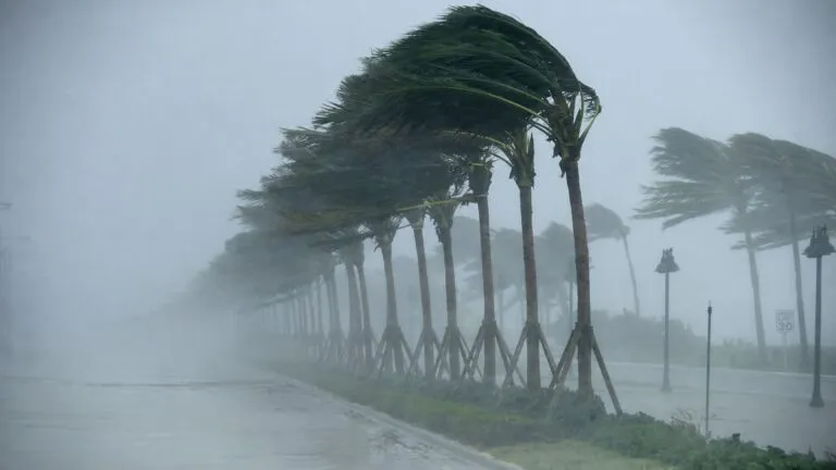 Seguro contra huracanes para proteger viviendas y patrimonio familiar en Quintana Roo