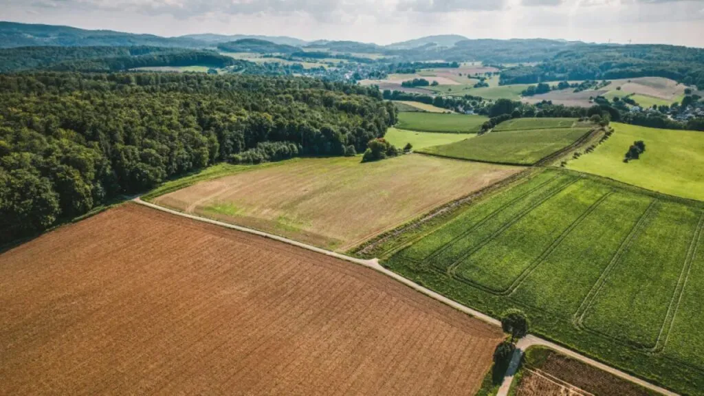 Productor revisa la protección de sus cultivos mediante un seguro agropecuario en Perú